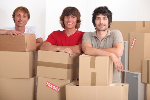 Professional insurance and safety standards for a man and van service
