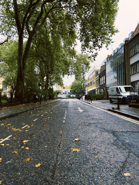 A white panel van parked on the street outside a residential building in the daytime, partially shaded by green foliage from an overhead tree. The building has multiple windows and a weathered exterio